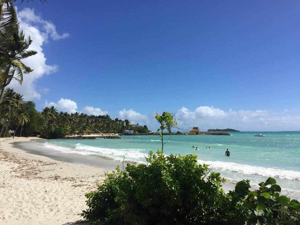 Coton Doux Front De Mer Le Gosier  Exterior foto
